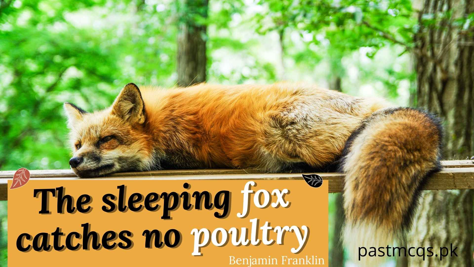 The sleeping fox catches no poultry